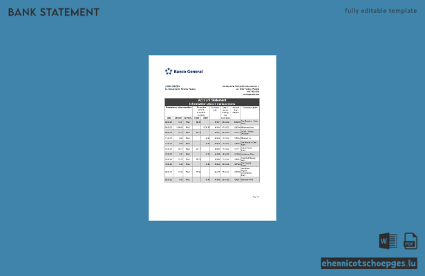 Beispiel für einen Kontoauszug der Panama Banco General (Excel-Vorschau)